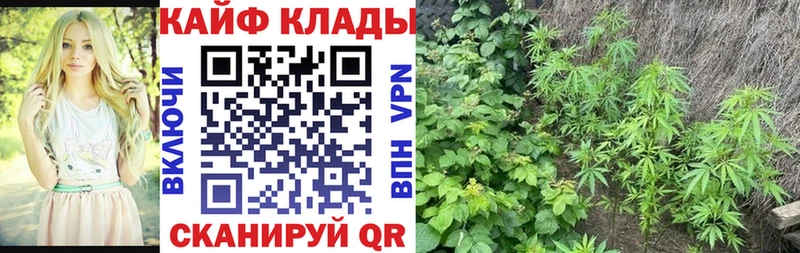 Купить закладку Марихуана КОКАИН А ПВП Мефедрон Гашиш Вичуга
