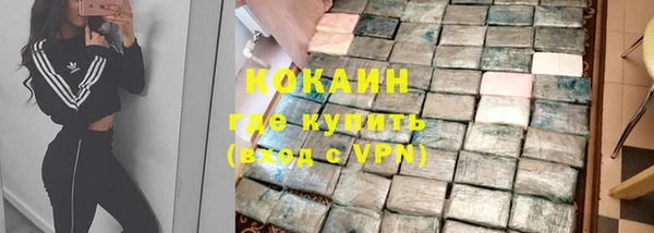 дживик Каменка