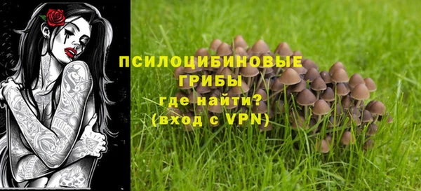 МДМА Карпинск