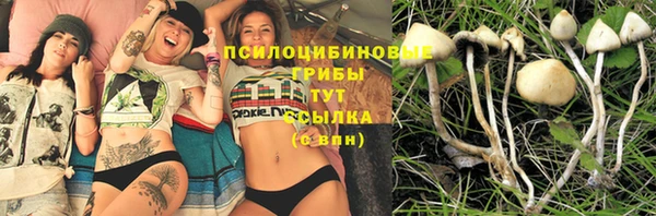 дживик Каменск-Шахтинский