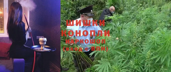 дживик Каменск-Шахтинский