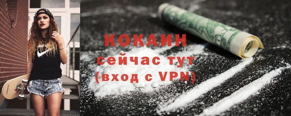 дживик Каменск-Шахтинский