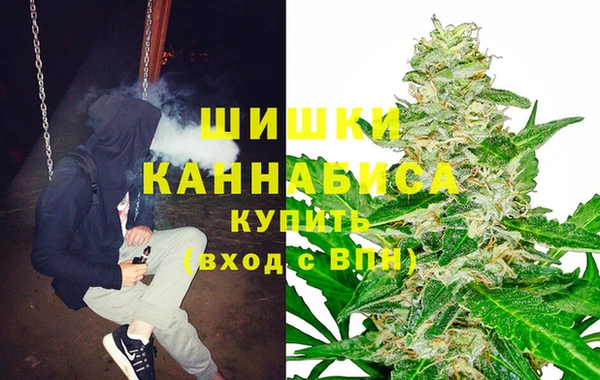 дживик Каменка