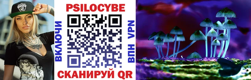Псилоцибиновые грибы прущие грибы  Купить закладки  Вичуга 